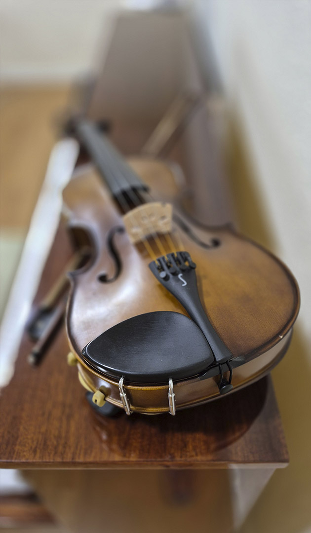 viola_vertical